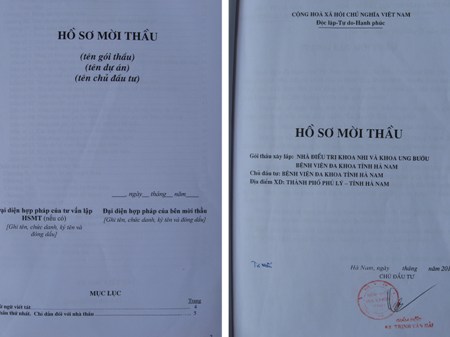 dịch hồ sơ thầu